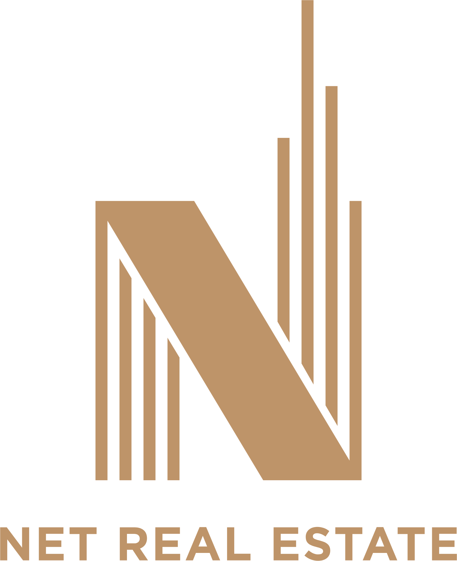 Net logo